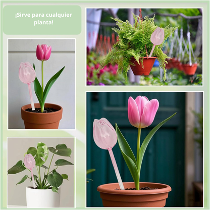 Tulipán de Autorriego para Plantas