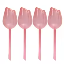 Tulipán de Autorriego para Plantas